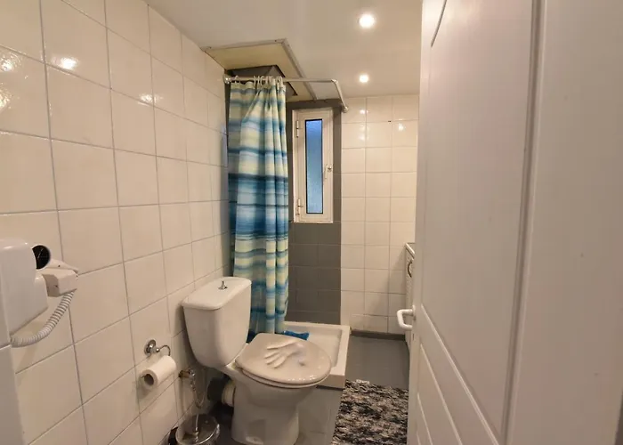 Jasmine ארטריה